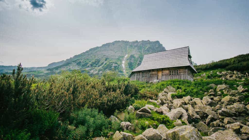 Polonya Çalışma İzni